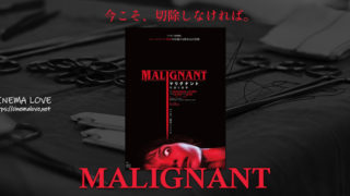 今まで観たことのないホラー映画！「マリグナント 狂暴な悪夢」ネタバレ感想・考察レビュー-Malignant（2021）